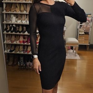 Black Ribbed Sheer Panel Long Sleeve Bar III Bodycon Dress